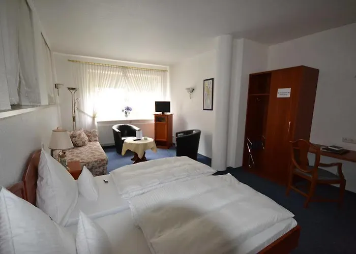 Consul Hotel 3*